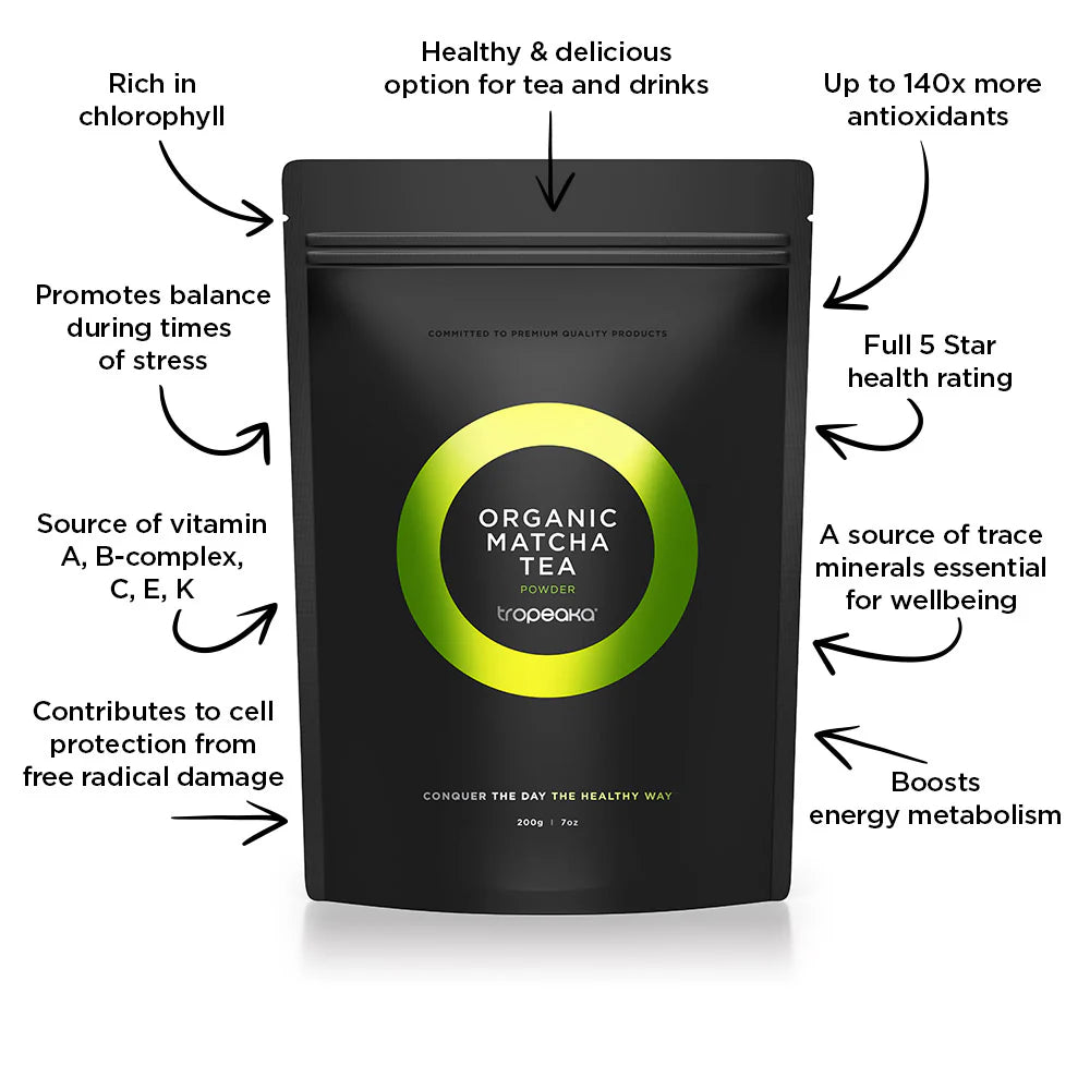 Matcha and Vanilla Protein Powder Bundle